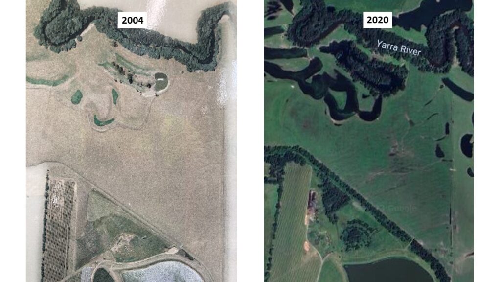 Floodplain area at the Chandon property in 2004 (left) and 2020 (right)