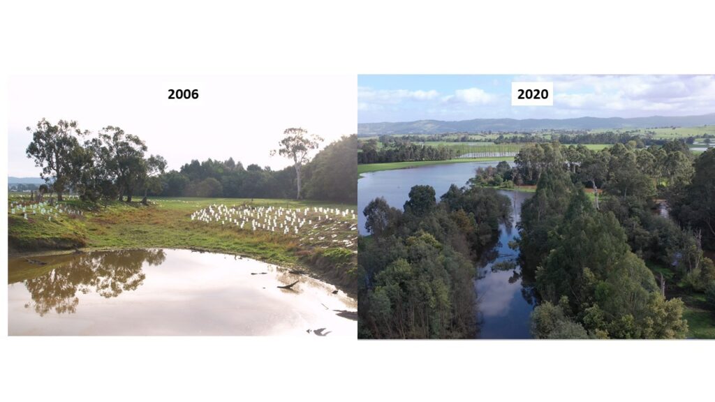 Chandon Australia evolution of land and biodiversity from 2006 to 2020